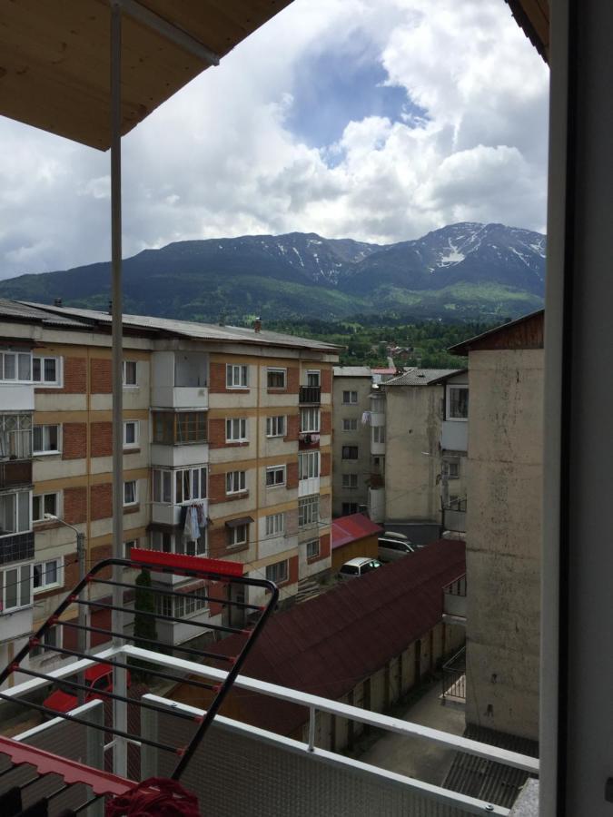 Apartamente Gildo 20 Borşa Exteriér fotografie